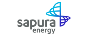 sapura-dty-services-client